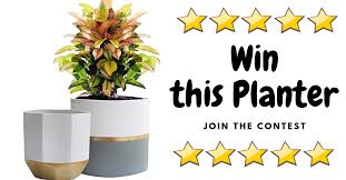 Enter To Win Premium White Ceramic Flower Pot Set 50 Ceramic Flower Pots Ceramic Flowers Pot Sets