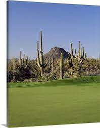 Included are course descriptions, reviews, ratings, yardage maps, scorecards, course flyovers and more. Saguaro Cacti In A Golf Course Troon North Golf Club Scottsdale Maricopa County Arizona Wall Art Canvas Prints Framed Prints Wall Peels Great Big Canvas