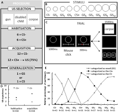 We did not find results for: Gradients Of Fear How Perception Influences Fear Generalization Sciencedirect