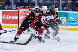 Montreal Canadiens Prospect Image