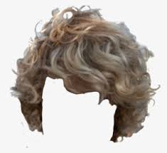 Boy with platinum blonde hair color. Transparent Blonde Curly Hair Clipart Taylor Swift Hd Png Download Kindpng