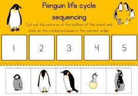 The average lifespan for an emperor penguin in the wild is around 20 years. Penguin Life Cycle Sequencing Activity Worksheet Penguin Life Cycle Penguin Life Life Cycles