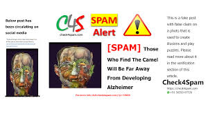 The head test is to find a camel. Spam Those Who Find The Camel Will Be Far Away From Developing Alzheimer S Check4spam