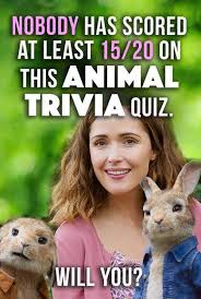Nobody Has Scored At Least 15 20 On This Animal Trivia Quiz Will You Fun Trivia Questions Trivia Quiz Kids Quiz Questions