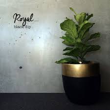 Black And Gold Design For Pots Royal Pot Design Twins Plant Decor Pot Designs Diy Pots