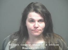 Blount public intoxication arrest records