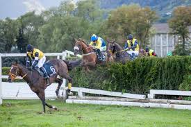 Merano, domenica a Maia la Listed di preparazione al Grande Steeple Chase d’Europa