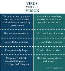 Pin On Differentiation Between