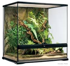 Exo Terra Reptile Habitat With Chinese Water Dragons Reptile Habitat Reptile Terrarium Terrarium