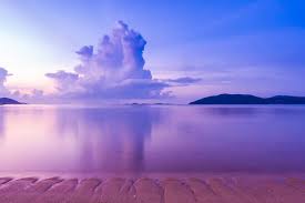 Image result for purple tranquility