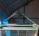 Exotic bird cage