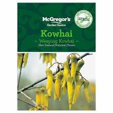 The koru (which is the maori word for 'loop') symbolises new life, growth, strength and. Mcgregor S Kowhai Nz Native Seed Flower Mitre 10