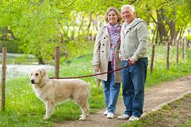 Chemotherapy is a common treatment to help slow the spread of the disease—as left untreated, the average life expectancy for dogs after diagnosis under three months. Living With Lung Cancer Cdc