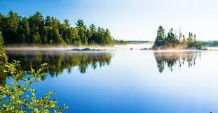 With over 14,000 islands, lake of the springtime offers not only fantastic walleye fishing, but also fair weather and beautiful scenery as lake of the woods is every angler's promised land. Minnesota House Cabin Rentals From 71 Hometogo