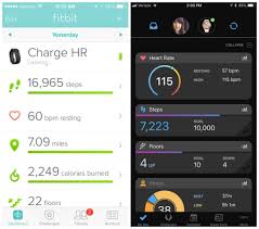 fitbit vs garmin which fitness tracker is best for you