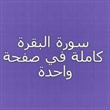 Pin On Badri Zahed