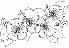 Choose from our diverse categories like cartoon coloring pages, disney coloring pages to animal coloring sheets, everything your kids want to colour you. Extraordinary Free Flower Coloring Pages Stephenbenedictdyson