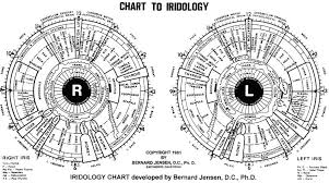 iridology healthy living center