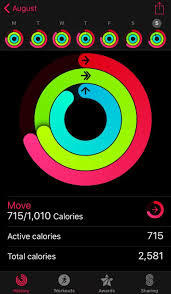 The apple watch app lets you control your workout from your wrist. 30 Day Weight Loss Challenge For Quarantine You Ve Never Tried This