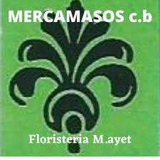 Floristeria M.Ayet (Mercamasos c.b.)