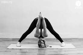 Prasarita Padottanasana 2 Fan Pose Variation With Fingers Interlocked Yogea Yoga Outside Of The Box Cool Yoga Poses Yoga Photoshoot Yoga Poses