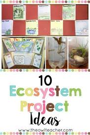 10 Ecosystem Project Ideas The Owl Teacher Ecosystems Projects Teaching Ecosystems Ecosystems