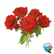 Il significato del mazzo di rose, però, cambia in base al colore, così come cambia in base al numero. Mazzo Di 5 Rose Rosse