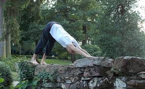 Ab wann kann man einen schwangerschaftstest machen? Web189 Autor Auf Yoga Coaching
