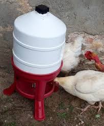 Dotez votre poulailler d'abreuvoirs et de mangeoires pour assurer en continu l'alimentation et l'hydratation de vos poules. Abreuvoir Poule Quel Abreuvoir Choisir Pour Vos Poules Avis Comparatif
