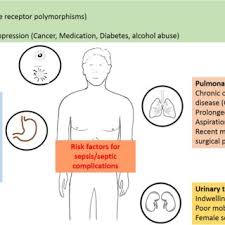 Pdf Intra Abdominal Sepsis New Definitions And Current Clinical Standards