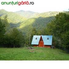 Vand Negociabil Un Teren Superb La Munte Imobiliare Terenuri Din Brezoi Valcea