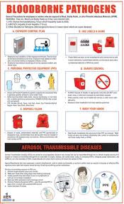 Image result for Bloodborne Pathogen Exposure