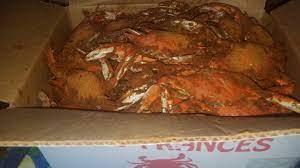 Get directions, reviews and information for lady frances crabhouse in essex, md. Lady Frances Crabhouse 21 Reviews Seafood Markets 202 Back River Neck Rd Essex Md United States Phone Number