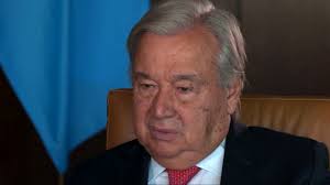 @kann_news's video Tweet