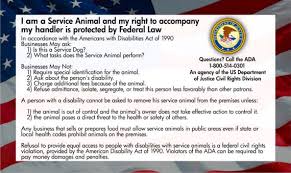 No Service Dogs Allowed Huffpost The ada is one of america's most comprehensive pieces of civil rights legislation. no service dogs allowed huffpost