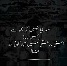 Pin On Urdu Poetry