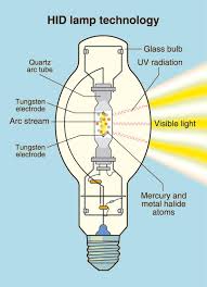 Growing indoors requires the best high intensity discharge (hid) grow lights. Hid Lights For Beginners High Intensity Discharge Lamps Explained Ledwatcher