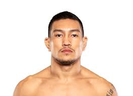 Luis Rafael Laurentino MMA Fight History