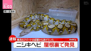 母 少女 お姉さん 人妻ナンパ 不倫 連続中出し 輪姦 美熟女 センズリ鑑賞 深田えいみ 泥酔 無許可中出し おっぱい 手コキ 素人ナンパ フェラ抜き イ. Exuqhbz1lec7dm