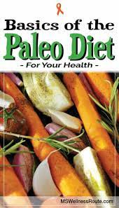 Basics Of The Paleo Diet Ms Wellness Route Starting Paleo Diet Paleo Diet Paleo Diet Recipes