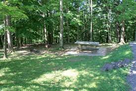 The park features added amenities like a swimming pool, a boat ramp for lake access, a marina, a museum, and many hiking trails that overlook the lake. Norris Dam State Park Camping Tennessee State Parks