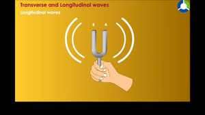 What characteristics are similar for both transverse waves and longitudinal waves? Transverse And Longitudinal Waves Wave Motion And Sound Cbse Grade 9 Physics Youtube