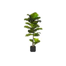 Pixel Plants Pixelplantsnfts Twitter