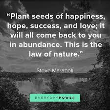 Check spelling or type a new query. 105 Nature Quotes About Mother Earth S Beauty 2021