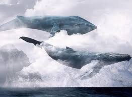 Anne Babalar Dikkat Bu Oyun Intihara Surukluyor Whale Whale Art Whale Illustration