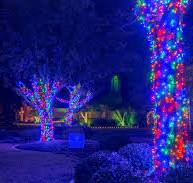 Commercial | Outdoor | Exterior Lights for Christmas ...