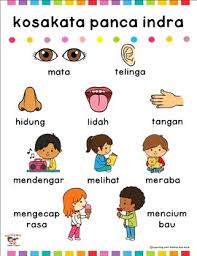 Teach Your Students Everything They Need To Know About Basic Five Senses In Bahasa Indonesia In This Set You Vocabulary Posters Special Needs Kids Flip Book