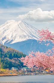 Image result for images MOUNT FUJI AND THE PATH TO HEAVEN