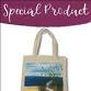 Paint a Summer Tote Bag! (13+)