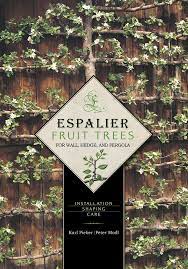 Buy trees online or visit our farm. Espalier Fruit Trees For Wall Hedge And Pergola Installation Shaping Care Pieber Karl Modl Peter 8601416317922 Amazon Com Books